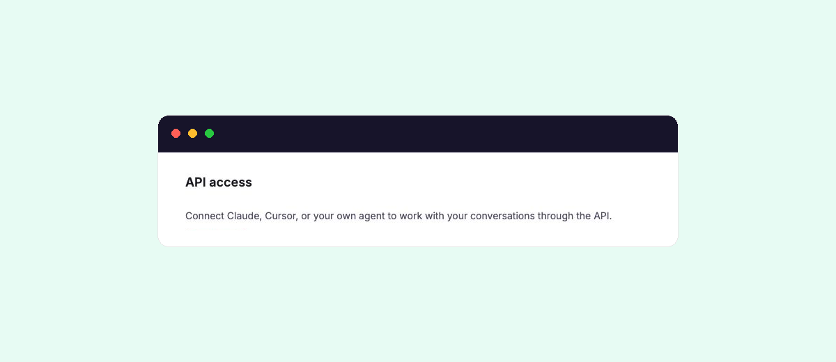API access section used to find holito's connection details for an AI tool