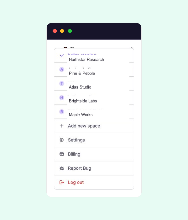 Organisation selector with five fictional organisations and a checkmark on the active one